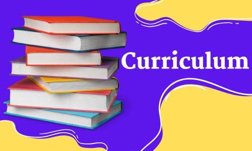 Curriculum